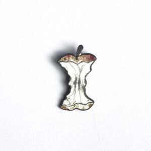 The Heart of an Apple